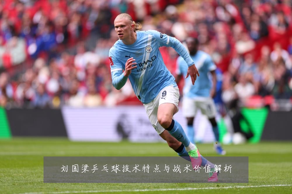 刘国梁乒乓球技术特点与战术价值解析